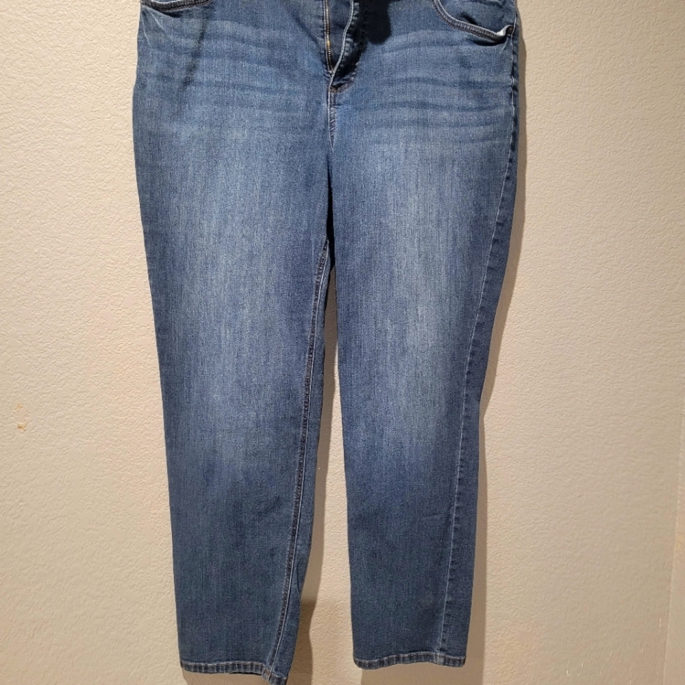 Terra&Sky size 16w straight leg jean